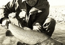 Niccolo Baldeschi Balleani 's Fly-fishing Picture of a German brown – Fly dreamers 