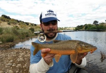 Antonio Luis Gahete 's Fly-fishing Picture of a Barbel – Fly dreamers 