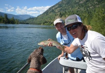 Peter Kaal 's Fly-fishing Picture of a Rainbow trout – Fly dreamers 