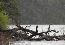 november rain in the lolog lake