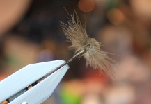 Stig M. Hansen 's Fly for Brown trout - Image – Fly dreamers 