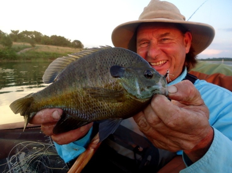 SIMPLE FLY and BEAUTIFUL VIBRATIONS, BLUEGILL on the 2 wt.!!!!!!!