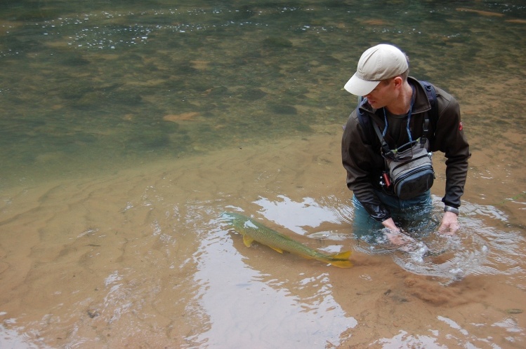 Más de Juramento Fly Fishing en el Directorio de Guías: <a href="http://www.flydreamers.com/en/directory/alejandro-haro-u16">http://www.flydreamers.com/en/directory/alejandro-haro-u16</a>