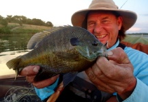 Greg McBill 's Fly-fishing Catch of a Bluegill – Fly dreamers 
