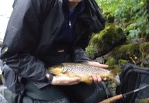 Inny trout fishing