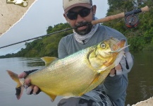 Kid Ocelos 's Fly-fishing Photo of a Sabalo – Fly dreamers 