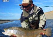 Kid Ocelos 's Fly-fishing Pic of a Sea-Trout – Fly dreamers 