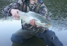 Jeremy Treweek 's Fly-fishing Picture of a Brown trout – Fly dreamers 