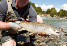 Mark Wallace 's Fly-fishing Picture of a Brown trout – Fly dreamers 