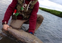 Elias Petur Thorarinsson  's Fly-fishing Picture of a Salmo trutta – Fly dreamers 