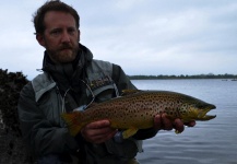Pierre Lainé 's Fly-fishing Photo of a Brown trout – Fly dreamers 