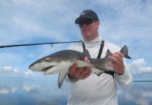 Fly-fishing Picture of Sharks shared by Martin Carranza – Fly dreamers