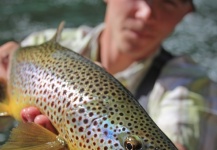 Mountain Made Media 's Fly-fishing Picture of a Brown trout – Fly dreamers 