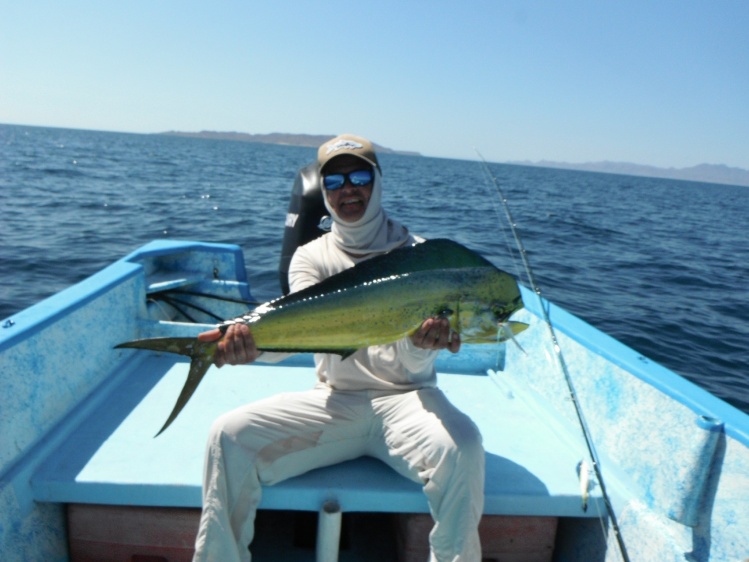 Dorado / Sea of Cortez