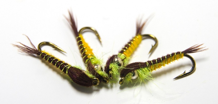 My BiColoured nymph, A solution to different dorsal and ventral colours without weaving.
It can be tied with or without weight, and legs. 
Here is a SbS <a href="http://www.crackaigflies.co.uk/bicoloursbs.html">http://www.crackaigflies.co.uk/bicoloursbs.html</a>