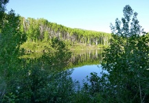 Hiking & Fishing with the boy 06/09/14