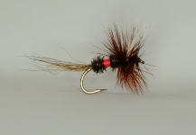 Ignacio Silva 's Fly for Rainbow trout - – Fly dreamers 