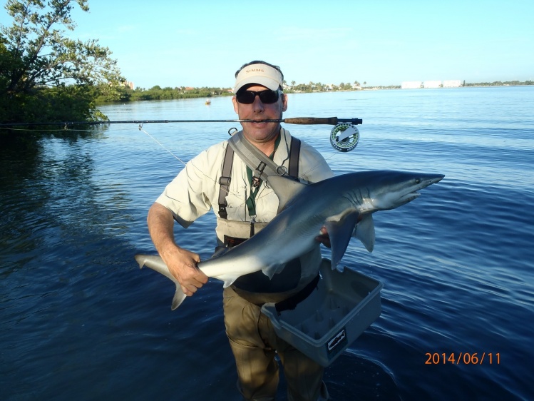 12-15lb Spinner shark on a 5wt....35 minutes of crazy!