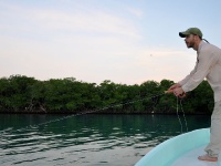 Foto de pesca con mosca