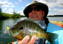Greg McBill 's Fly-fishing Photo of a Bluegill – Fly dreamers 