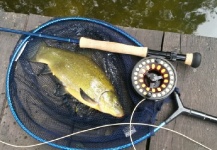 Jan Wagner 's Fly-fishing Pic of a Tench – Fly dreamers 