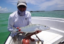 Diván Mosquero 's Fly-fishing Photo of a Bonefish – Fly dreamers 