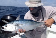 John Kelly 's Fly-fishing Catch of a False Albacore - Little Tunny – Fly dreamers 