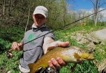 may driftless dry fly action