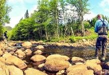 Fly-fishing Situation of Brook trout shared by François Nadeau 