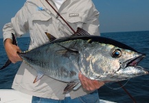 Keith Conlon 's Fly-fishing Photo of a BluefinTuna – Fly dreamers 
