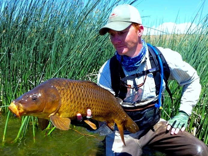 Carp Fly Fishing - A Talk with Expert Dan Frasier - Articles