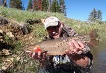 Fly-fishing Picture of Cutthroat shared by Tim Kidder – Fly dreamers