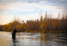 Gabriel Liendro's Fly-fishing Art Pic – Fly dreamers 