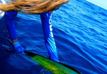 Rebekka  Redd 's Fly-fishing Picture of a Dorado - Mahi Mahi – Fly dreamers 