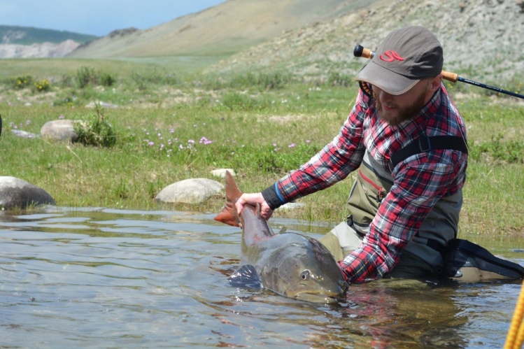 2014 season in Mongolia is off to a great start.  Here's Rasmus Ovesen releasing a beautiful taimen a couple of days ago.  We're looking forward to a great year right through October!  Photo credit to Fish Mongolia guide, Mark Portman.  www.FishMongolia.c