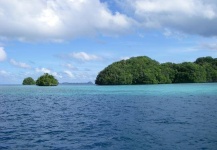 GTs in Palau