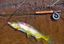  Foto de Pesca con Mosca de Trucha marrón compartida por Duranglers Flies And Supplies – Fly dreamers