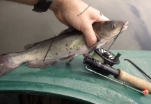 Ben Stahlschmidt 's Fly-fishing Photo of a Blue catfish – Fly dreamers 