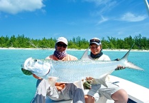 Fly-fishing Picture of Tarpon shared by Tom Hradecky – Fly dreamers