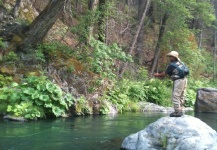 Fly-fishing Situation of Rainbow trout - Picture shared by Tim Hadsell – Fly dreamers