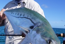 Steven Davies 's Fly-fishing Pic of a Queenfish – Fly dreamers 