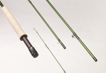 Reimagining Generation 5 Technology with the ACCEL Fly Rod Series
