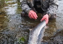 Fly-fishing Image of Atlantic salmon shared by Keith Wenham – Fly dreamers