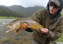  Imagen de Pesca con Mosca de Brownie compartida por Jeremy Clark – Fly dreamers