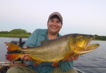 Fly-fishing Photo of Golden Dorado shared by Mau Velho – Fly dreamers 