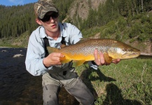 Jeremy Clark 's Fly-fishing Image of a Brown trout – Fly dreamers 