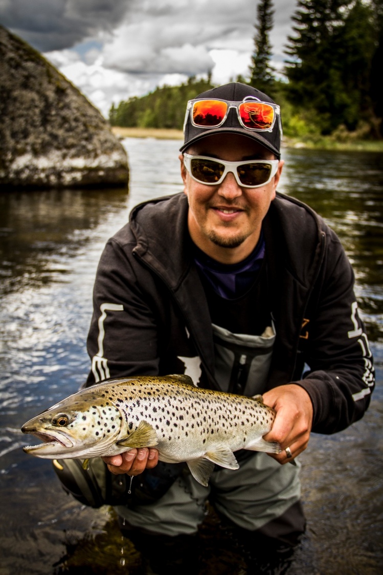 Dry fly Brownie