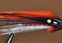 Ariel Garcia Monteavaro 's Good Fly-tying Image – Fly dreamers 