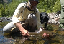 Eric Larson 's Fly-fishing Pic of a Bull trout – Fly dreamers 