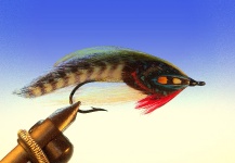 Great Fly-tying Photo shared by Steve Silverio – Fly dreamers 